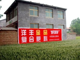  岐山如何让墙体广告展现最大化效果