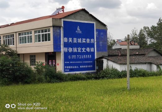 岐山决定墙体广告价格的因素有哪些？