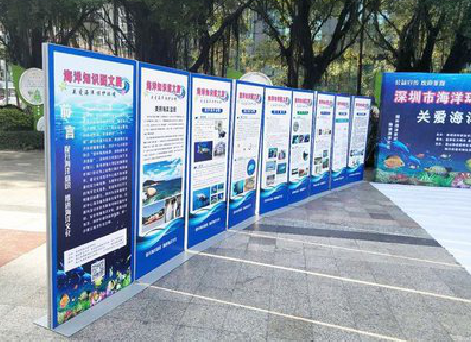  岐山KT板的种类和知识。